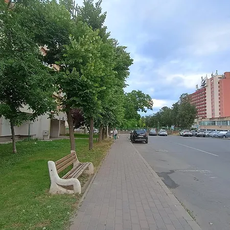 Rodica
